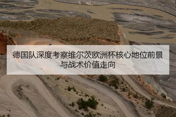 德国队深度考察维尔茨欧洲杯核心地位前景与战术价值走向