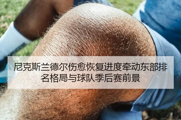 尼克斯兰德尔伤愈恢复进度牵动东部排名格局与球队季后赛前景