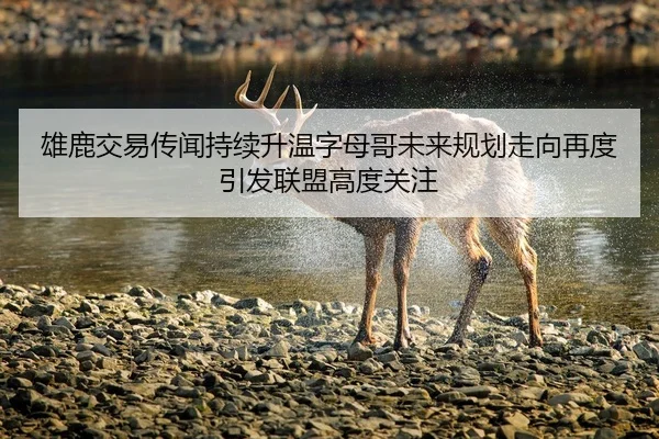 雄鹿交易传闻持续升温字母哥未来规划走向再度引发联盟高度关注